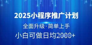 2025小程序推广计划,全面升级,简单上手,日均多张【揭秘】-最全资源库