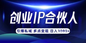 云帆·创业ip合伙人打造3.0，从0到1教你做网创，实现月入过W-最全资源库