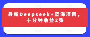 最新Deepseek+蓝海项目,十分钟收益2张-最全资源库