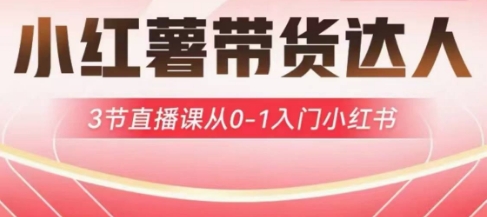 小红薯达人带货启航计划,3节直播课从0-1入门小红书-最全资源库