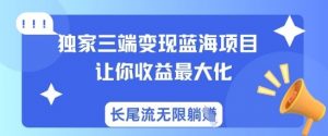 独家三端变现蓝海项目，让你收益最大化，长尾流无限躺挣-最全资源库