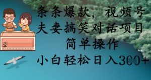 条条爆款，视频号夫妻搞笑对话项目，简单操作，小白轻松日入3张+-最全资源库
