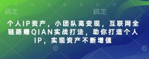 个人IP资产,小团队高变现,互联网全链路赚QIAN实战打法,助你打造个人IP,实现资产不断增值-最全资源库