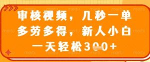 审核视频，几秒一单，多劳多得，新人小白一天轻松3张【揭秘】-最全资源库