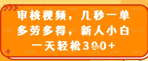审核视频,几秒一单,多劳多得,新人小白一天轻松3张【揭秘】-最全资源库