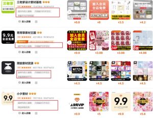 0成本虚拟项目实战手把手教你落地，单店月入5k-最全资源库