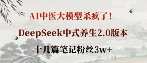 AI中医大模型杀疯了!DeepSeek中式养生2.0版本,十几篇笔记粉丝3w+-最全资源库