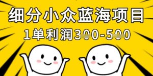 细分小众蓝海项目,一单利润3张,每月收入稳定过1w+-最全资源库