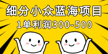 细分小众蓝海项目,一单利润3张,每月收入稳定过1w+-最全资源库