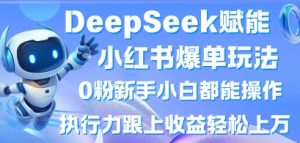 DeepSeek赋能小红书爆单玩法0粉新手小白都能操作，执行力跟上收益轻松上W，懒人勿做-最全资源库