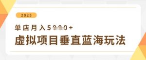 虚拟项目垂直玩法，实现单店月入5k+-最全资源库