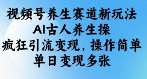 视频号养生赛道新玩法，AI古人养生操，疯狂引流变现，操作简单，单日变现多张-最全资源库