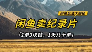 闲鱼卖纪录片1单3块钱,1天几十单,项目稳定有潜力-最全资源库