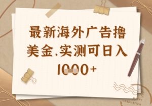 最新海外广告联盟挂机撸美金项目，实测可日入多张【揭秘】-最全资源库