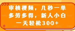最新审核视频，几秒一单，多劳多得，新人小白一天轻松3张【揭秘】-最全资源库