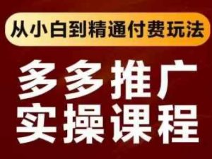 拼多多推广实操课程，从小白到精通付费玩法-最全资源库
