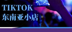 Tiktok东南亚跨境小店运营班,一门专业的TK小店运营培训课-最全资源库