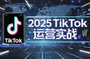 2025TikTok电商运营，掌握TikTok店铺运营核心技巧，实现低成本高转化-最全资源库