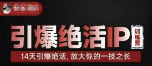 引爆绝活IP训练营,14天引爆绝活,放大你的一技之长-最全资源库