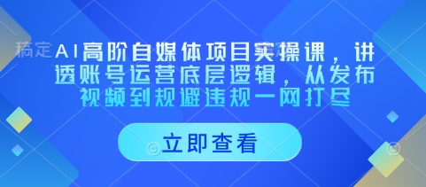 AI高阶自媒体项目实操课,讲透账号运营底层逻辑,从发布视频到规避违规一网打尽-最全资源库
