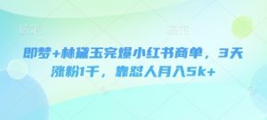 即梦+林黛玉完爆小红书商单,3天涨粉1千,靠怼人月入5k+-最全资源库