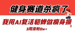 健身赛道杀疯了？我用AI复活貂蝉做瘦身操，3周涨粉8W-最全资源库