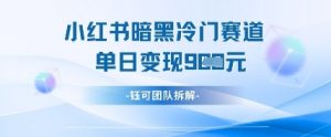 小红书冷门”暗黑”赛道，单日收益多张-最全资源库