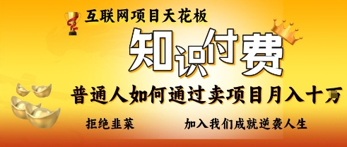 互联网项目天花板,知付付费项目,普通人如何通过卖项目月入十个,拒绝韭菜【揭秘】-最全资源库