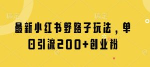 最新小红书野路子玩法，单日引流200+创业粉-最全资源库