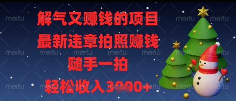 解气又挣钱的项目，最新违章拍照挣钱，随手一拍，轻松收入多张【揭秘】-最全资源库