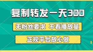 转发视频一天3张+，正规平台放心做，不看播放量，无粉丝要求，随时随地挣收益【揭秘】-最全资源库