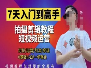 7天入门到高手,短视频剪辑运营高手课,定位 运营 引|流 变现,0基础小白一学就会-最全资源库