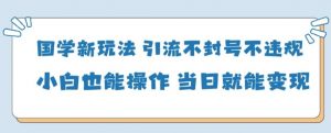 国学新玩法，引流不封号不违规小白也能操作，当日就能变现-最全资源库