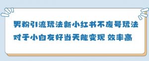 男粉引流玩法(新)，玩法友好做的好当天就能变现-最全资源库