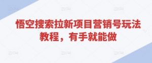 悟空搜索拉新项目营销号玩法教程，有手就能做-最全资源库
