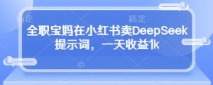 全职宝妈在小红书卖DeepSeek提示词,一天收益1k-最全资源库