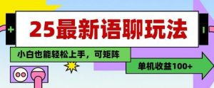 25年最新语聊玩法,纯手工,单机收益100+,小白也能轻松上手,可矩阵操作-最全资源库
