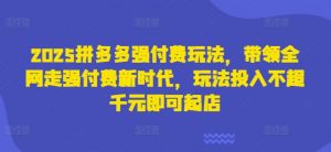 2025拼多多强付费玩法,带领全网走强付费新时代,玩法投入不超千元即可起店-最全资源库
