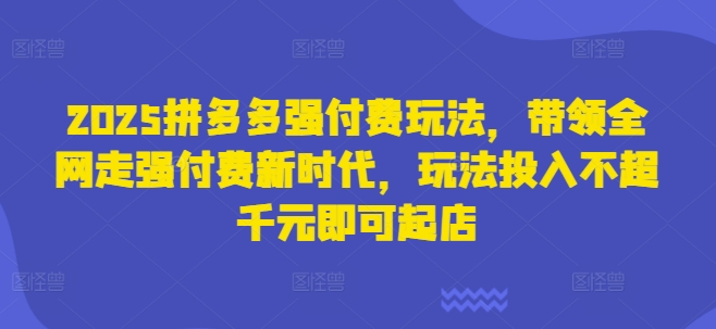 2025拼多多强付费玩法,带领全网走强付费新时代,玩法投入不超千元即可起店-最全资源库