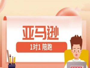 亚马逊1对1陪跑课(FBA/FBM精铺)跨境亚马逊教程-最全资源库