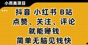 小而美的项目,抖音小红书B站视频点赞、关注、评论就能挣钱,简单无脑立见收益,妥妥的零撸项目【揭秘】-最全资源库