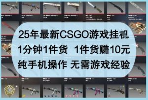 25年最新CSGO游戏挂G，1分钟1件货，1件货挣10元，纯手机操作，无需游戏经验【揭秘】-最全资源库