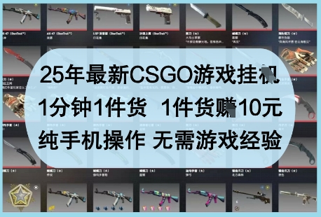 25年最新CSGO游戏挂G,1分钟1件货,1件货挣10元,纯手机操作,无需游戏经验【揭秘】-最全资源库