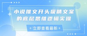 小说推文开头吸睛文案的底层思维逻辑实操-最全资源库