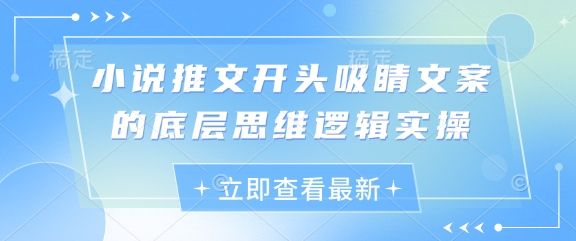 小说推文开头吸睛文案的底层思维逻辑实操-最全资源库