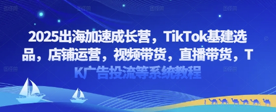2025出海加速成长营，TikTok基建选品，店铺运营，视频带货，直播带货，TK广告投流等系统教程-最全资源库