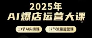 2025年AI爆店运营大课,13节AI实操课+37节流量运营课-最全资源库