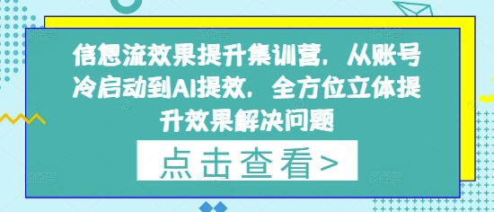 信息流效果提升集训营,从账号冷启动到AI提效,全方位立体提升效果解决问题-最全资源库