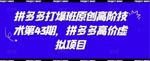 拼多多打爆班原创高阶技术第43期,拼多多高价虚拟项目-最全资源库