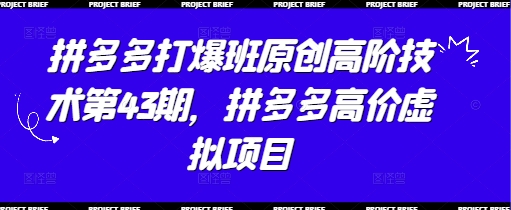 拼多多打爆班原创高阶技术第43期,拼多多高价虚拟项目-最全资源库